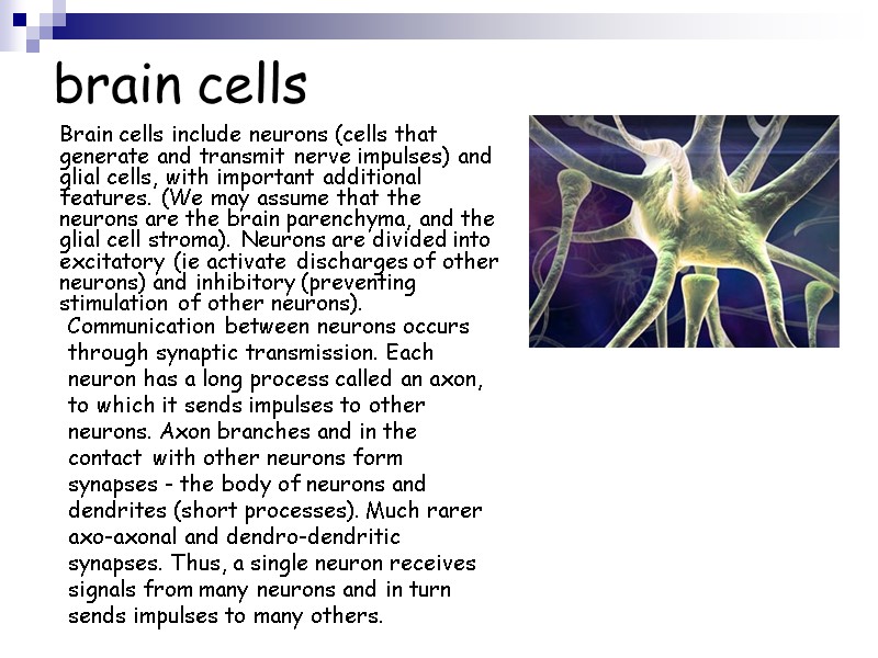 brain cells      Brain cells include neurons (cells that generate